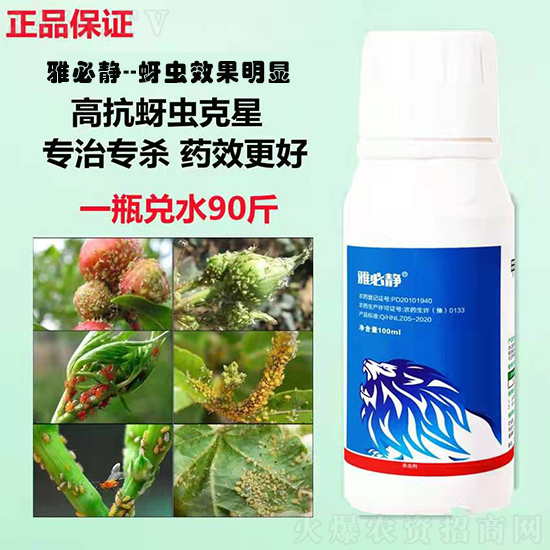 果蔬蚜虫,为啥防治越来越难?蚜虫用什么药能根治? 果蔬蚜虫,为啥防治越来越难?蚜虫用什么药能根治?