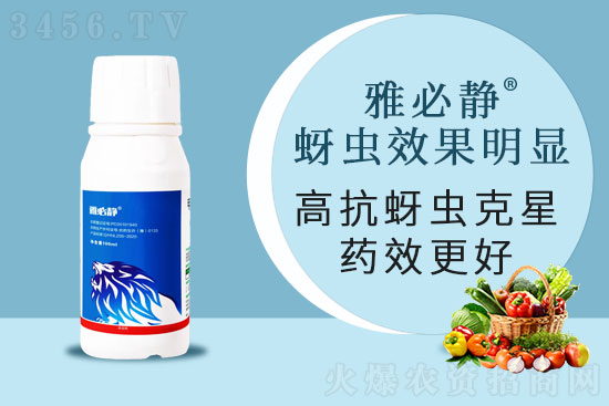 果蔬蚜虫,为啥防治越来越难?蚜虫用什么药能根治? 果蔬蚜虫,为啥防治越来越难?蚜虫用什么药能根治?